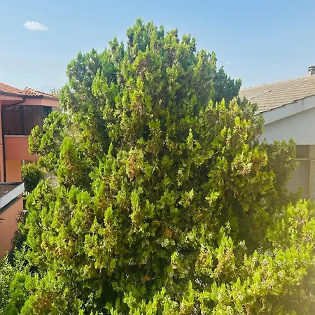Apartmán Atelier Edit, Tra Il Mare E La Maiella Pescara